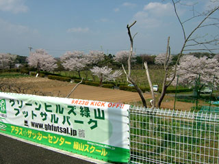 公園みたいに見えるけど実は畑、それで写真じゃ伝わりにくいけど沢山桜が咲いててめっちゃ気持ちいい!