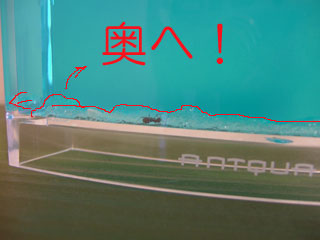 042401.jpg