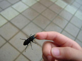痛そうw