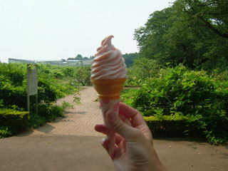 面白い味、、、リョウは拒否ｗチハルは食べました