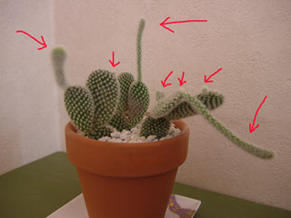 ハートから触手が伸びてる感じです…orz