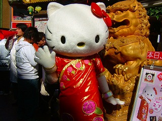 何かイベントで来てた猫（＾＾；）