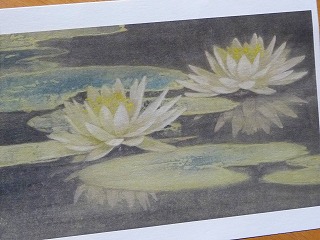 DMだよ