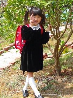 庭の垂れ桜キレイだったのにあんまり写ってないな（??；）